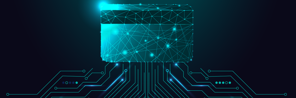 Exploring the Evolution and Future of Card Payments